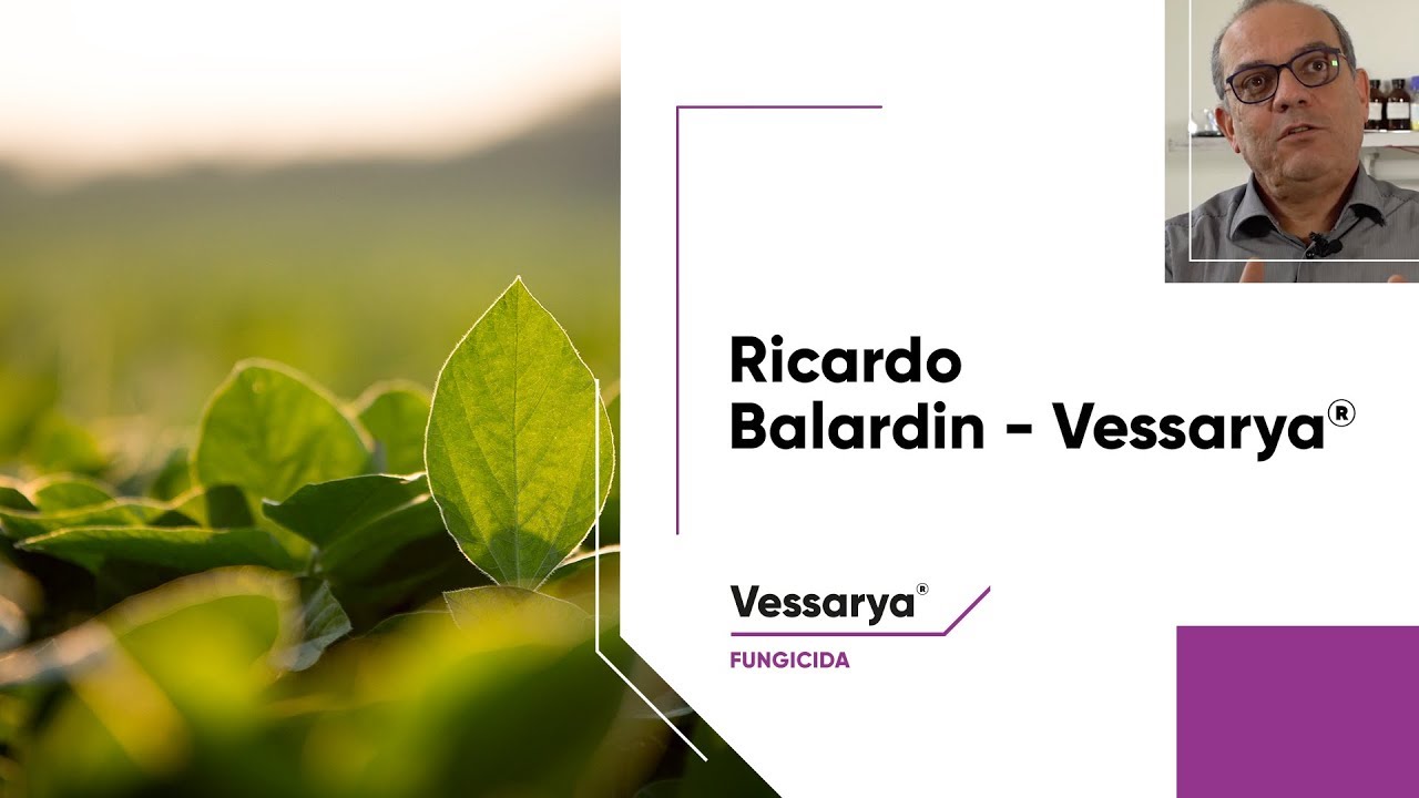 O Ph.D. Ricardo Balardin revela o grande diferencial de Vessarya®